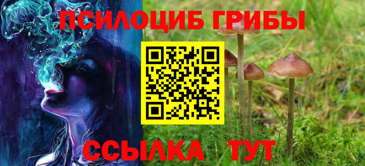 Галлюциногенные грибы Cubensis Красногорск