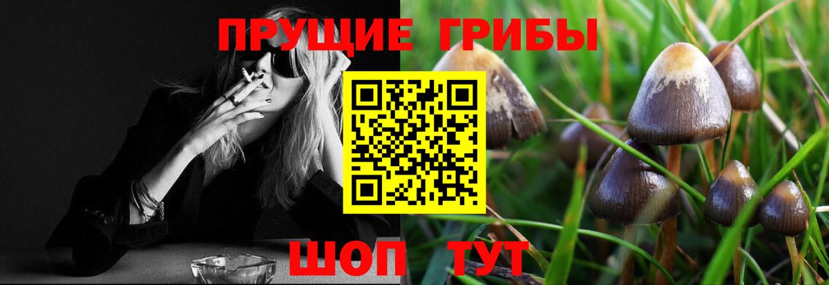 Псилоцибиновые грибы мухоморы  Вход с VPN  Красногорск 